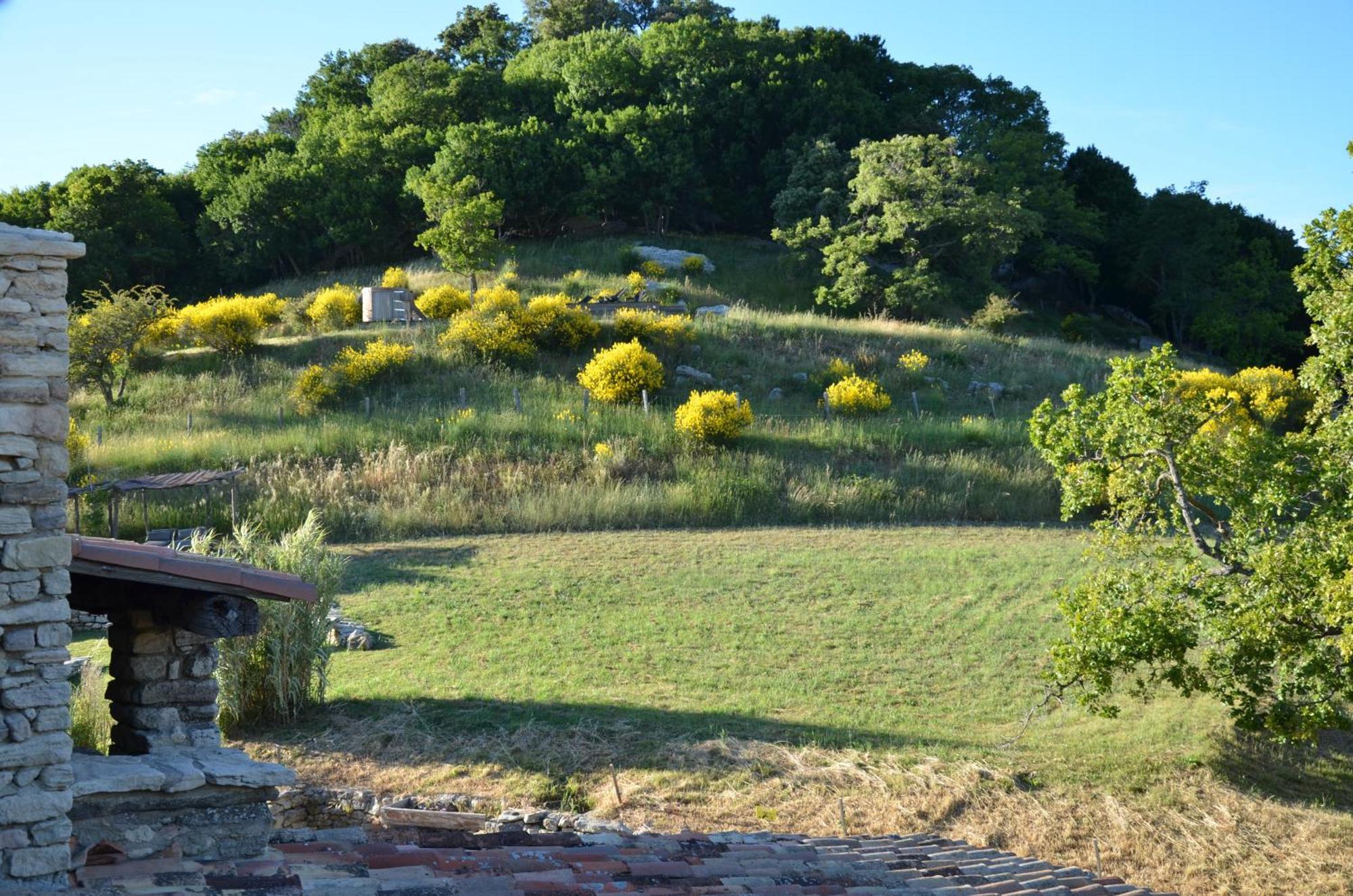 Le Domaine Du Castellas Sivergues Esterno foto